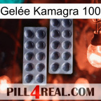 Gelée Kamagra 100 31